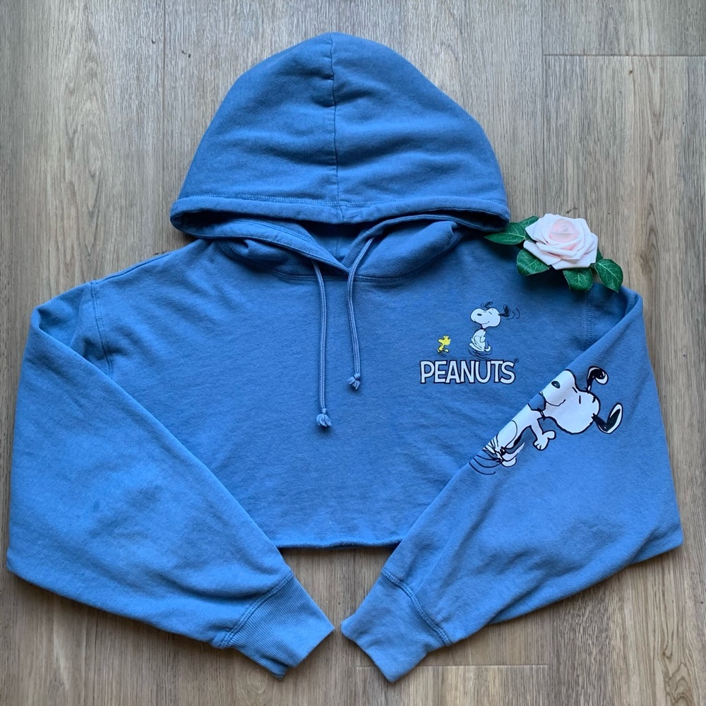 Peanuts Snoopy & Woodstock Cropped Hoodie